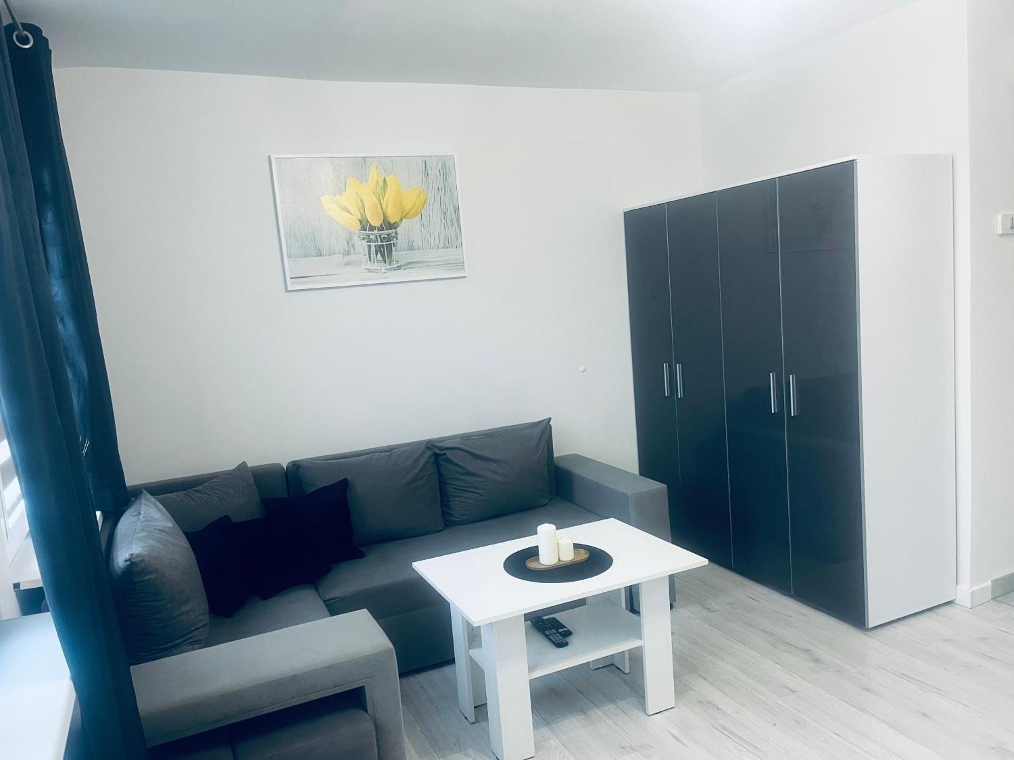 Silver Apartament Катовице Екстериор снимка